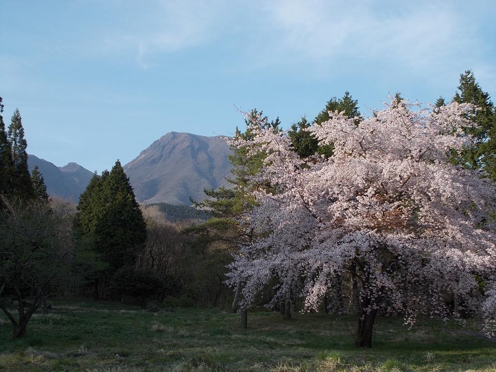 Kuju Kogen Hotel Taketa Luaran gambar